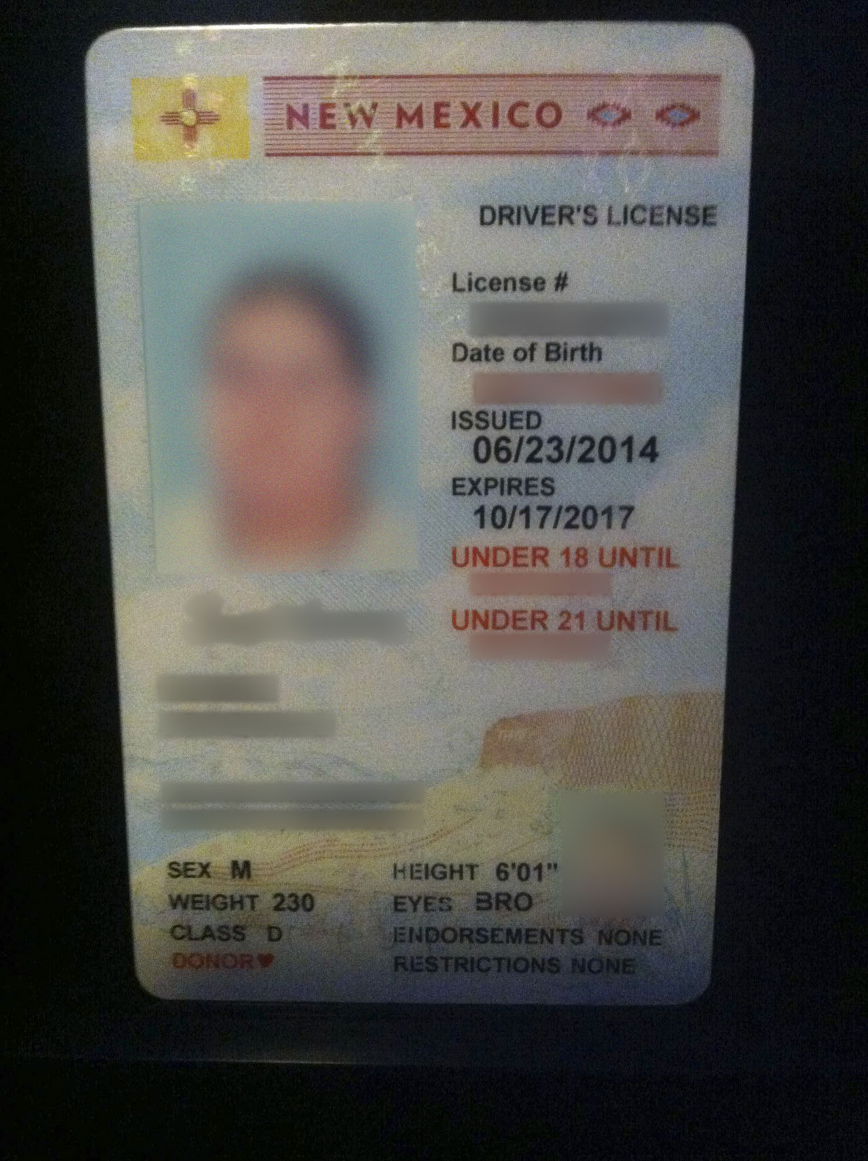 New Mexico Fake Id Trmplatr